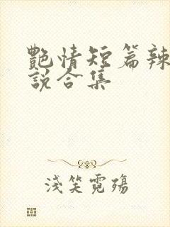 艳情短篇辣文小说合集