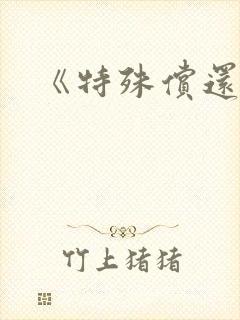 《特殊偿还》封面
