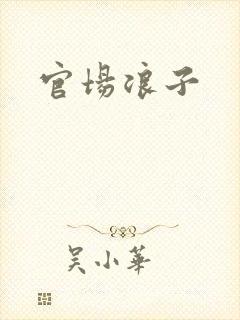 官场浪子