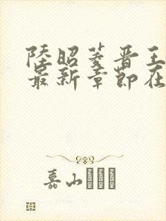 陆昭菱晋王小说最新章节在线阅读