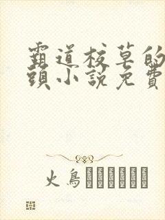 霸道校草的拽丫头小说免费阅读封面