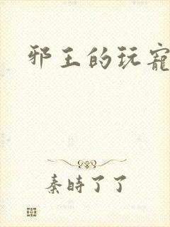 邪王的玩宠