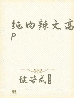 纯肉辣文高hnp