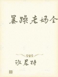 暴躁老妈全集封面