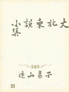 小说东北大炕全集