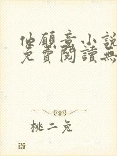 他愿意小说全文免费阅读无弹窗