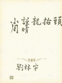 小说龙抬头张龙周晴
