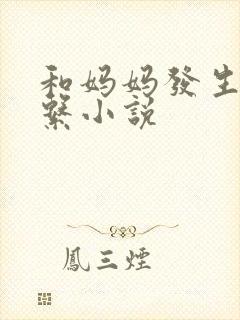 和妈妈发生性关系小说封面