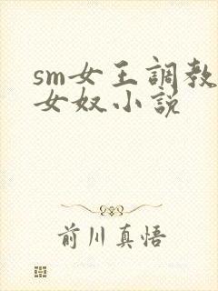 sm女王调教母女奴小说封面