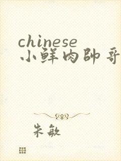 chinese小鲜肉帅哥gaygv