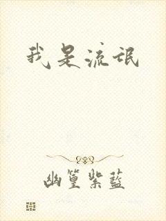 我是流氓