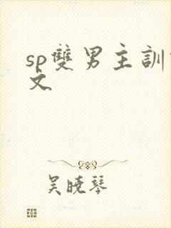 sp双男主训诫文封面