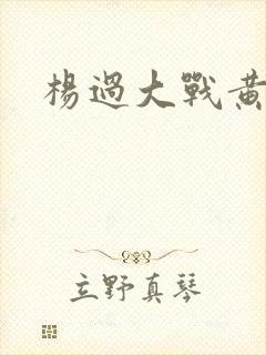 杨过大战黄蓉