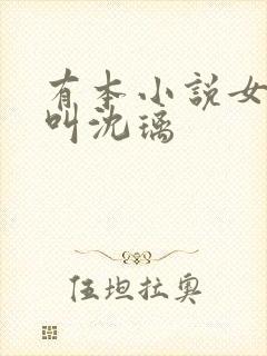 有本小说女主角叫沈璃