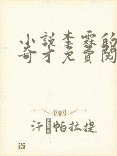 小说李霖的官场奇才免费阅读封面