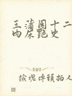 玉蒲团十二寡妇肉床艳史