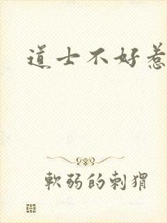 道士不好惹小说封面