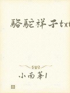 骆驼祥子txt