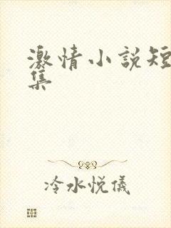 激情小说短篇合集封面