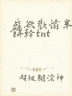瘾欲欢愉半块小饼干tnt