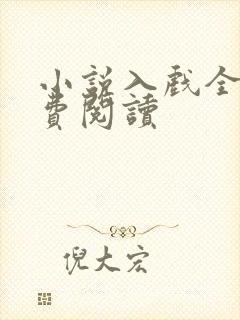 小说入戏全文免费阅读封面