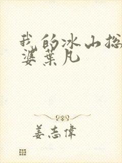 我的冰山总裁老婆叶凡