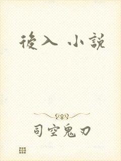 后入 小说封面