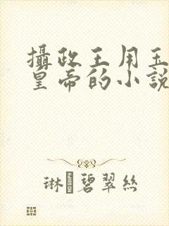 摄政王用玉髓整皇帝的小说