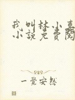 我叫林小喜全文小说免费阅读