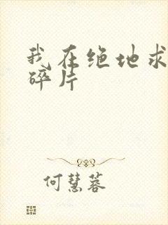 我在绝地求生捡碎片