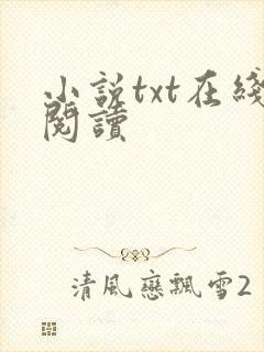 小说txt在线阅读