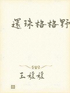 还珠格格野传封面