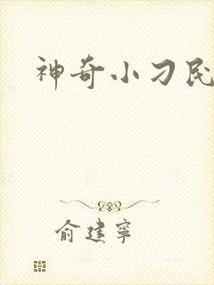 神奇小刁民