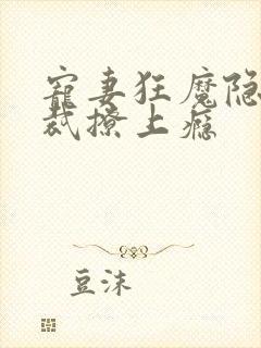 宠妻狂魔隐婚总裁撩上瘾