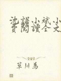 沈诺小斌小说免费阅读全文最新章节封面