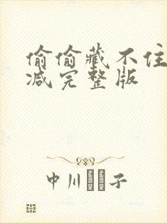 偷偷藏不住无删减完整版封面