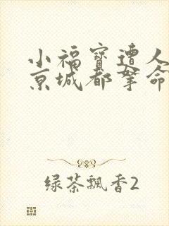 小福宝遭人嫌全京城都拿命宠全文免费阅读