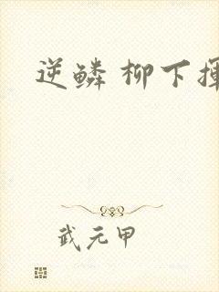 逆鳞 柳下挥封面