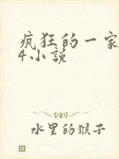 疯狂的一家ps4小说