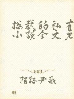 总裁的私有宝贝小说全文免费阅读封面