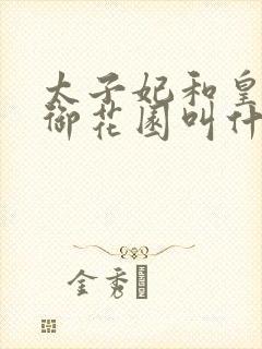 太子妃和皇帝在御花园叫什么小说