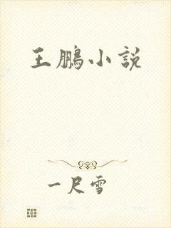 王鹏小说
