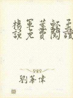 杨军叶轻柔的小说免费阅读