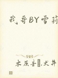 我哥BY雪莉封面