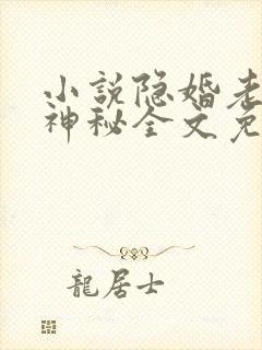 小说隐婚老公太神秘全文免费阅读封面