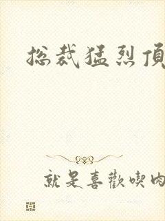 总裁猛烈顶弄h