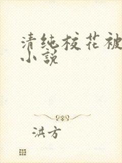 清纯校花被调教小说
