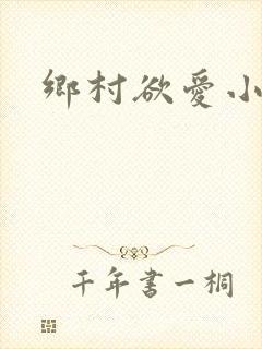 乡村欲爱小说封面