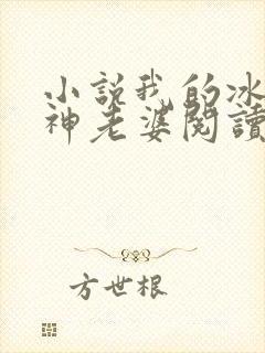 小说我的冰山女神老婆阅读封面