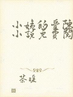 小姨的爱陈凌轩小说免费阅读